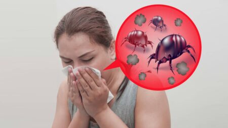 Allergie aux acariens