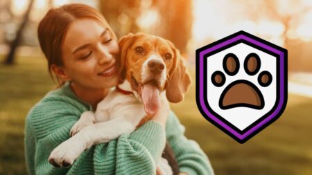Assurance pour chien : conseils et critères à étudier pour bien choisir
