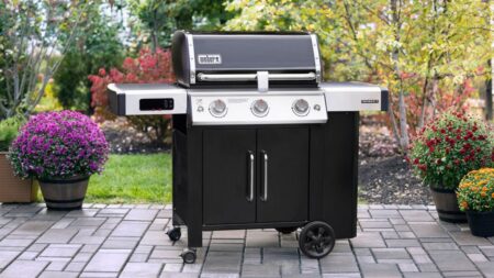 barbecue weber taille (1)