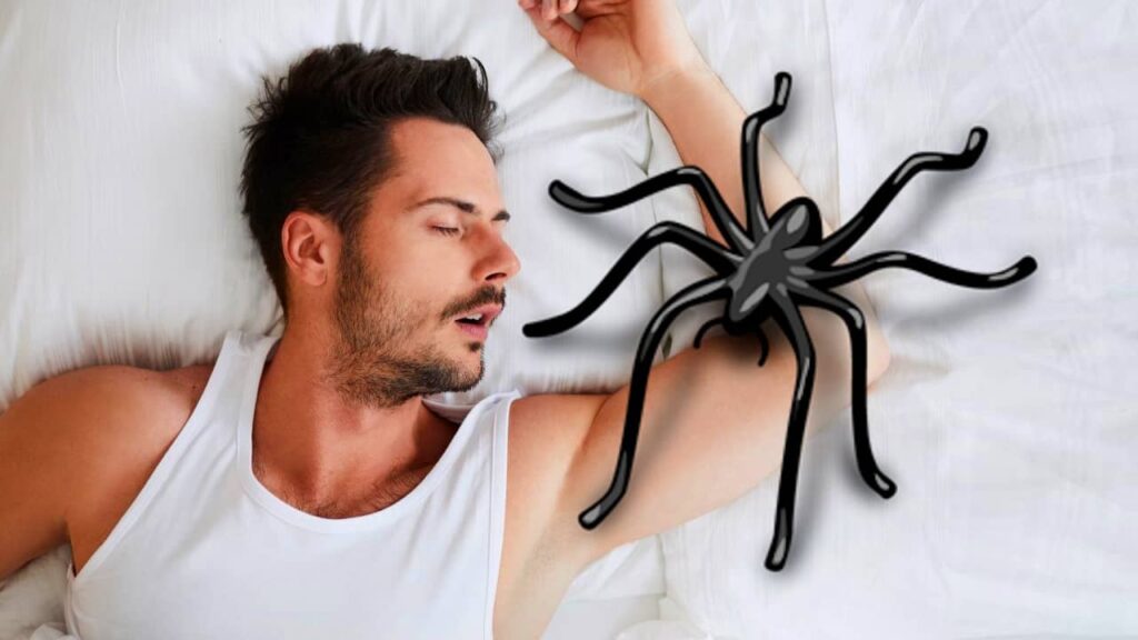 manger une araignée durant son sommeil