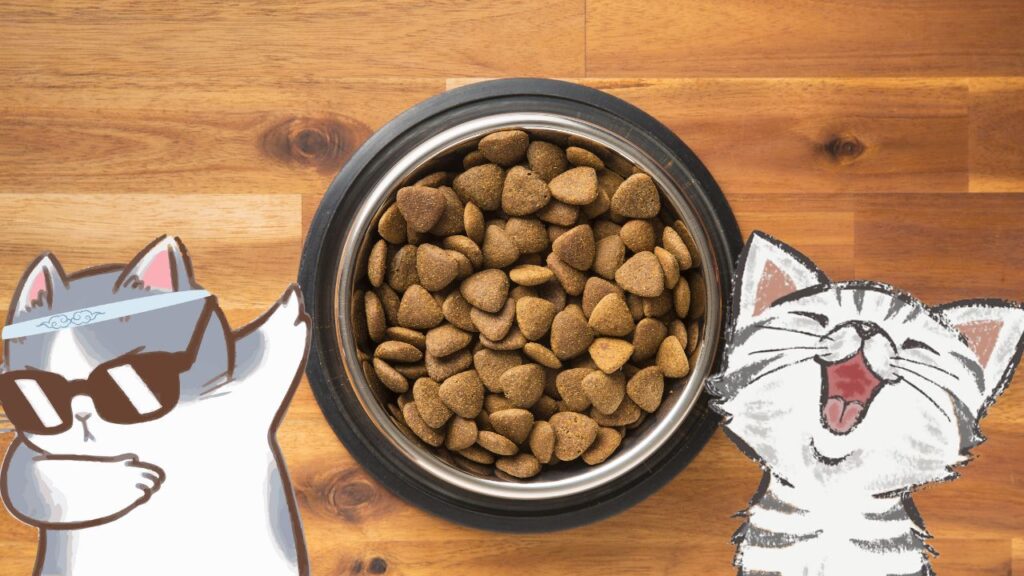 Top 7 Des Meilleures Croquettes Pour Chat Pas Ch res