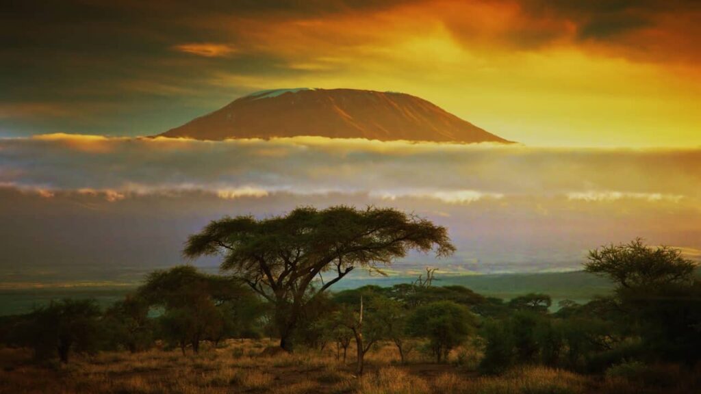 Voyage au Kenya : top 15 lieux à visiter absolument !