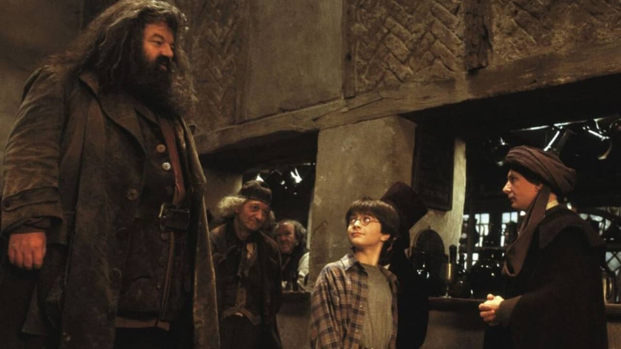 Harry Potter : les 13 personnages dont les acteurs sont déjà morts