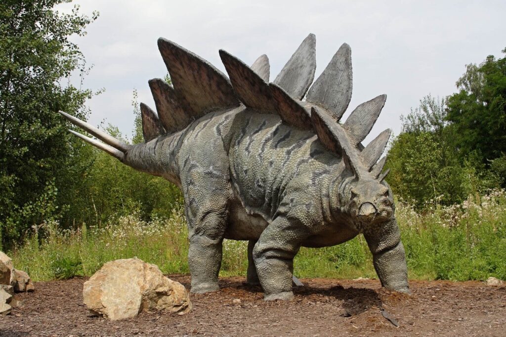 Stégosaure - Stegosaurus