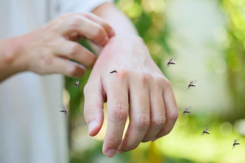 Astuces naturelles pour repousser les moustiques