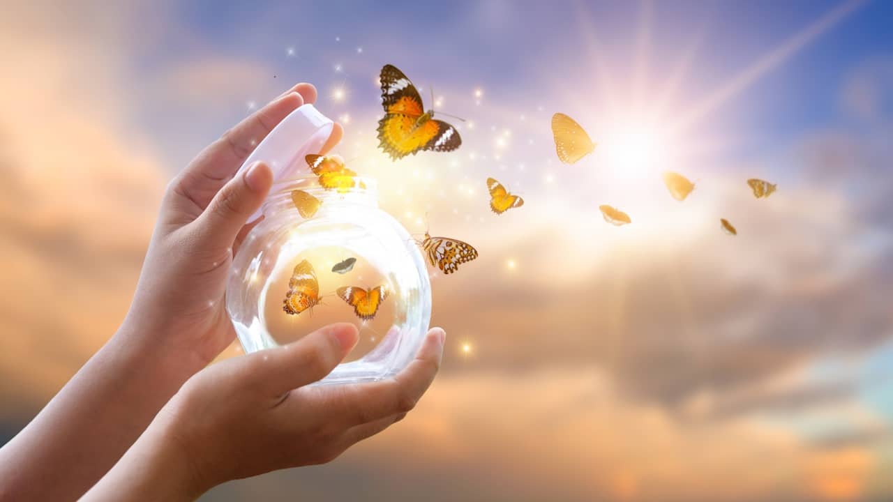 Voir un papillon marron : quelle signification spirituelle