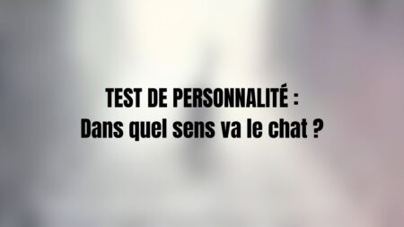 test personnalite chat (1)