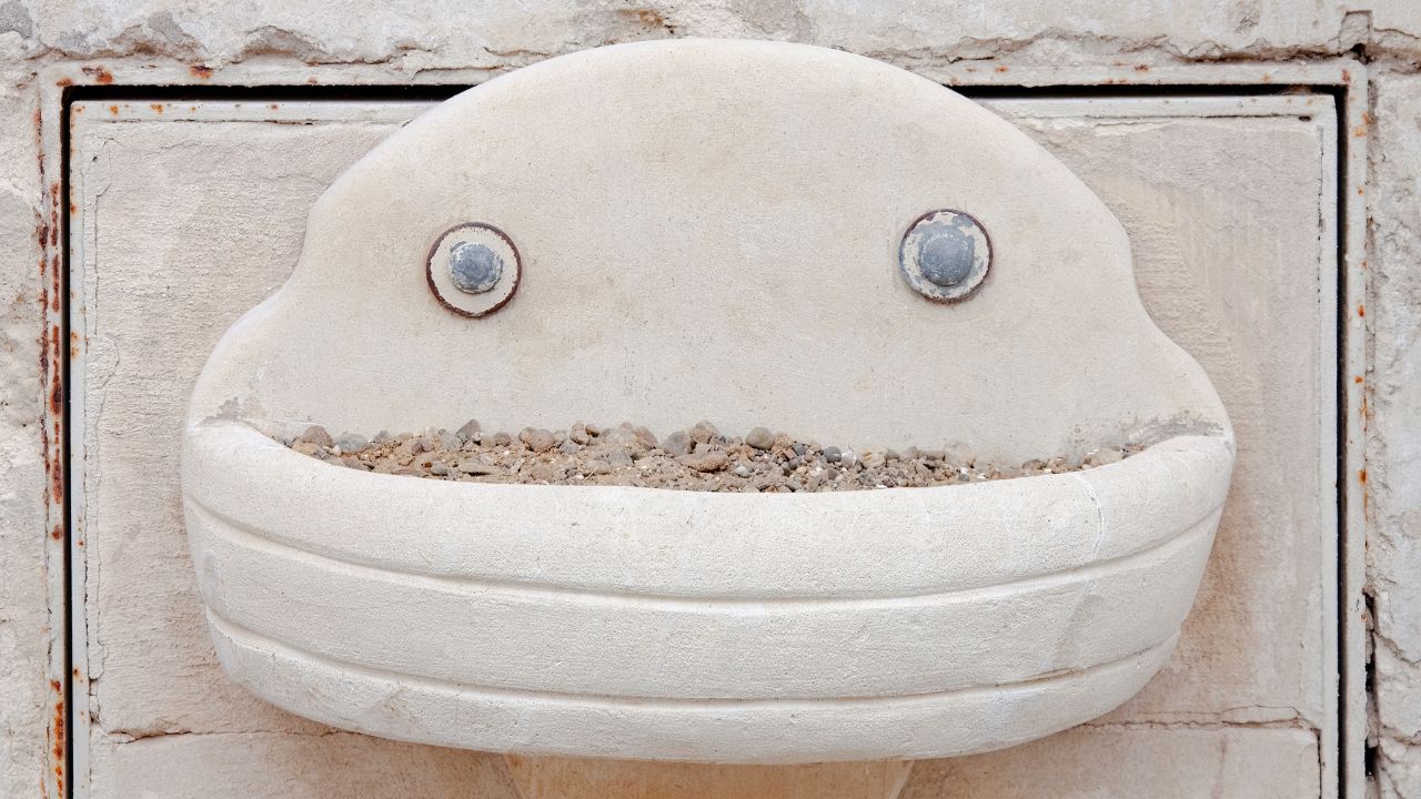 https://www.buzzwebzine.fr/wp-content/uploads/2023/12/pareidolie-1.jpg