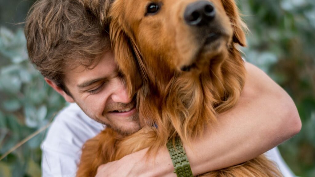 renforcer lien chien (1)