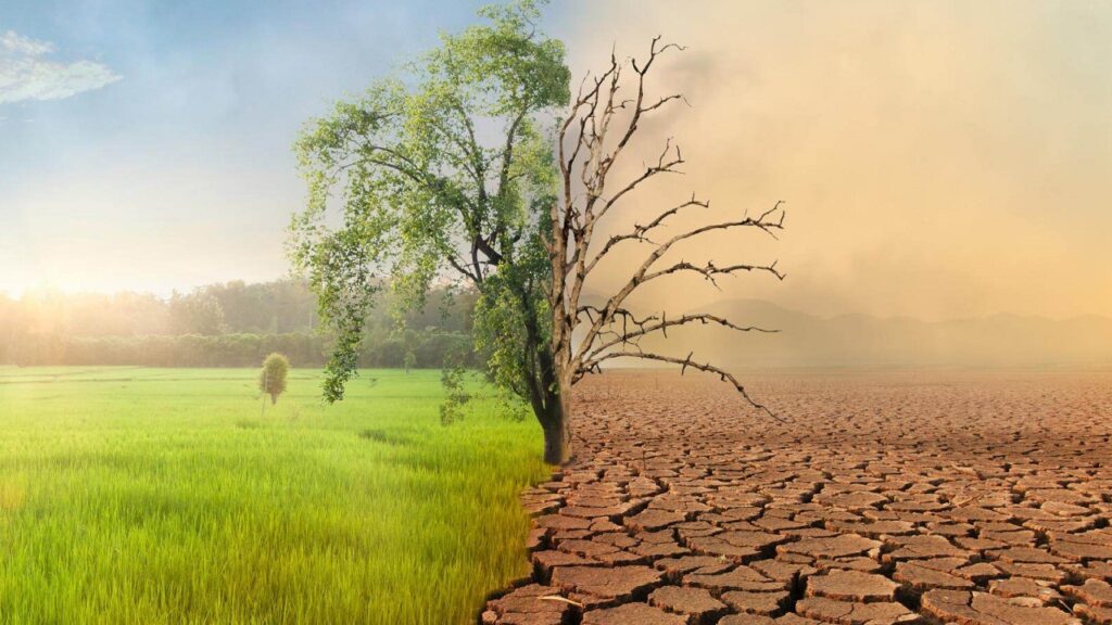 Amnésie Écologique : pourquoi on oublie tous que la Terre se détériore ?
