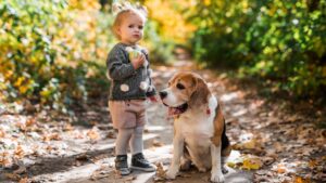 Choisir un chien de compagnie : les meilleures races pour les enfants