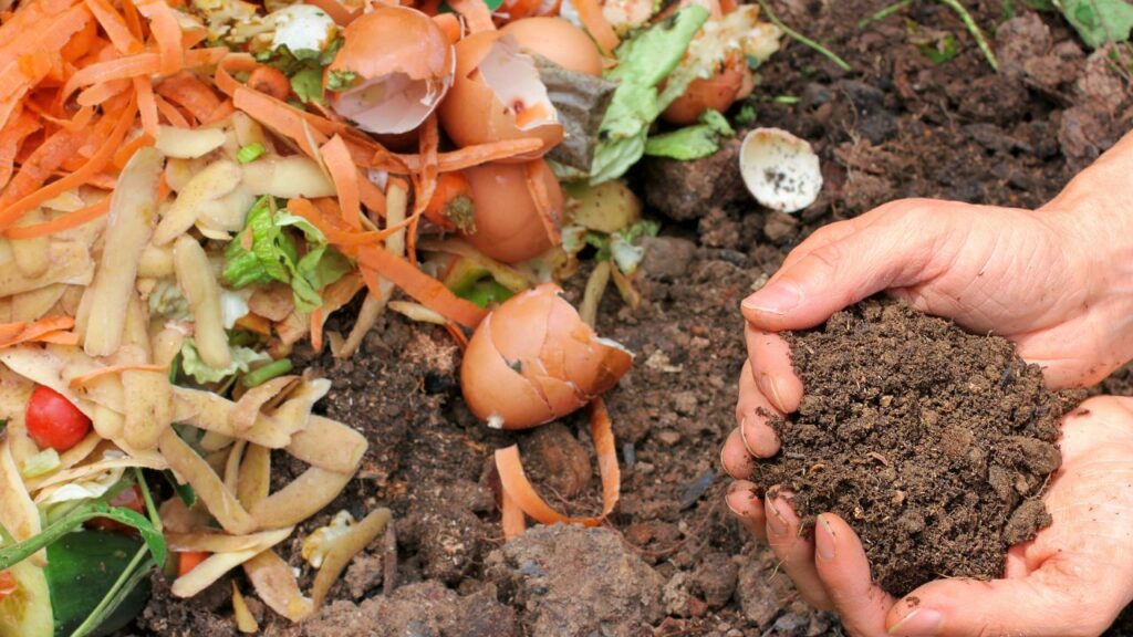compost (1)