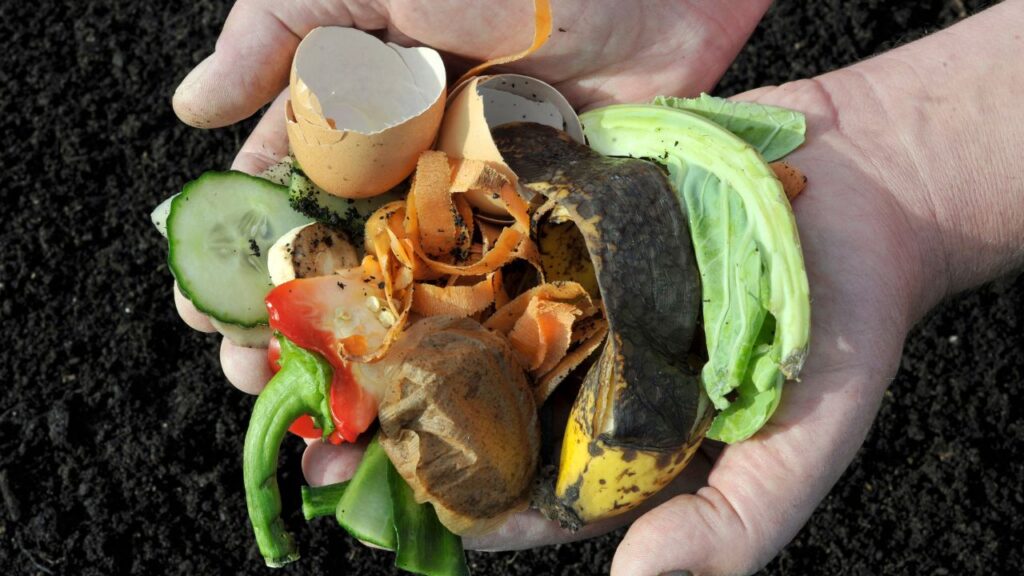 compost (1)