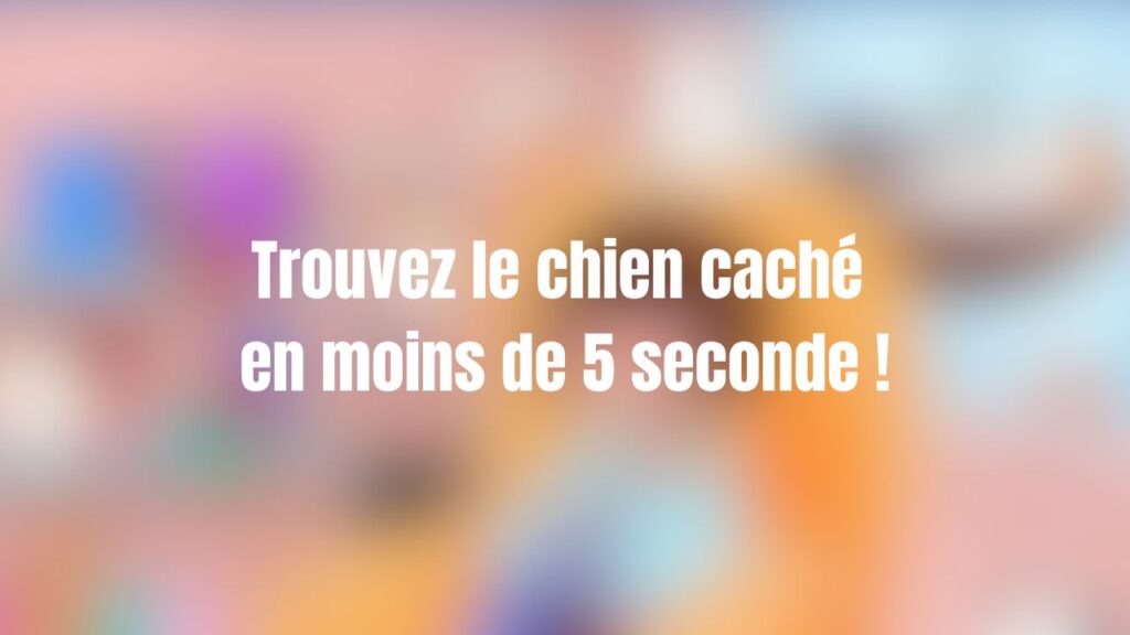 test visuel trouver chien (2)