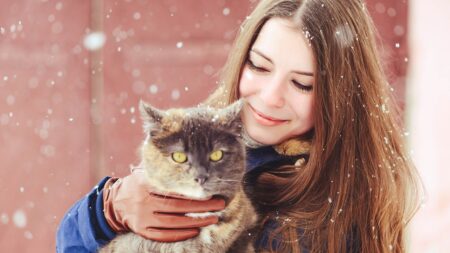 Comment prendre soin de son chat d'extérieur en hiver ?