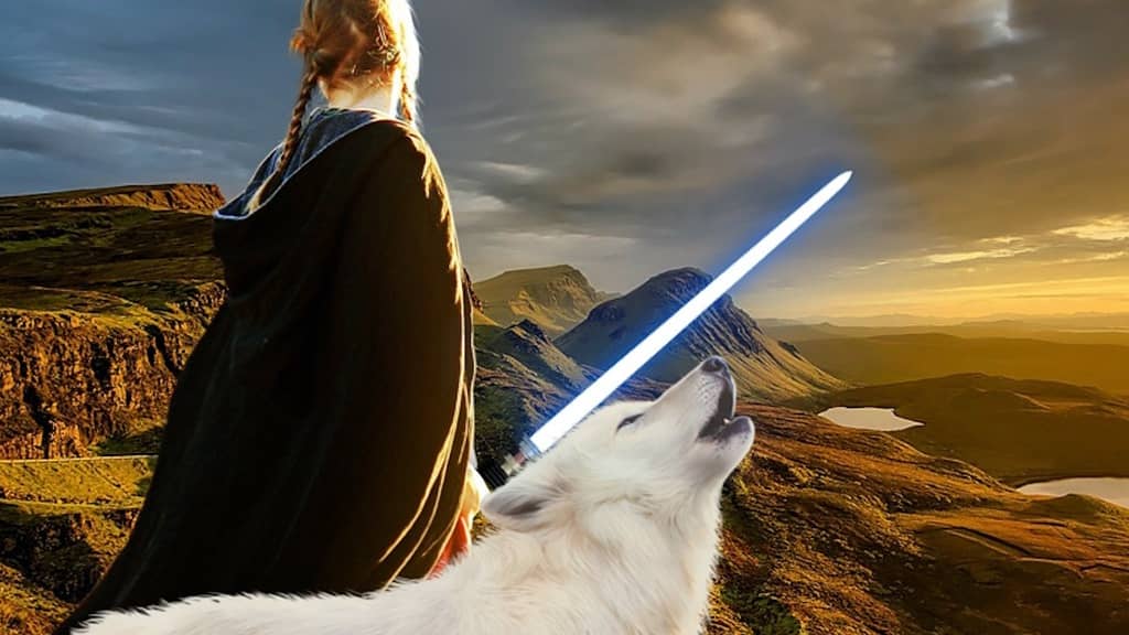 déguisement jedi sabre laser