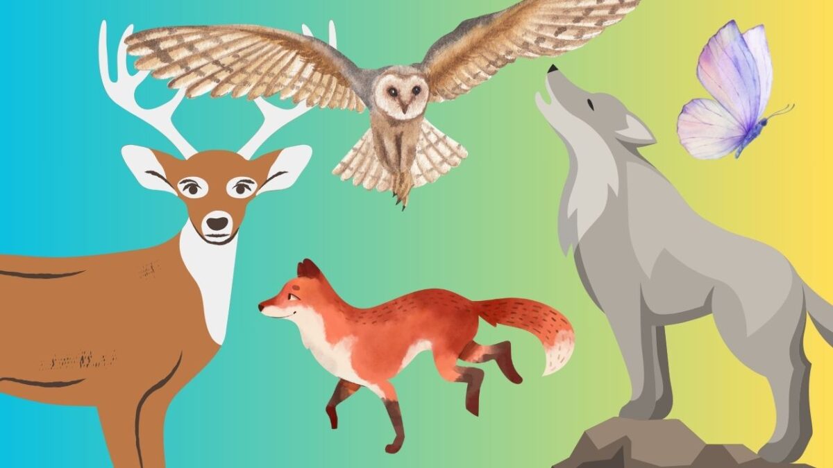 Test de personnalité : quel est votre animal totem