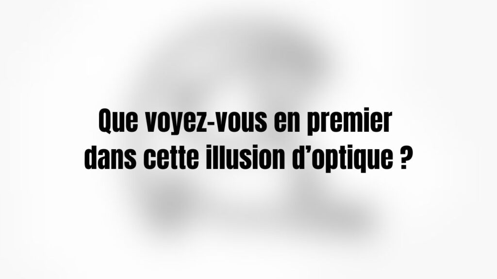 test illusion optique (2)