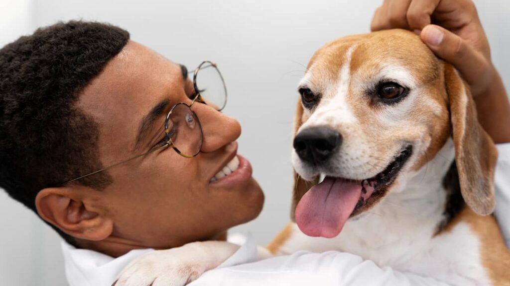 Le chien sur la santé mentale
