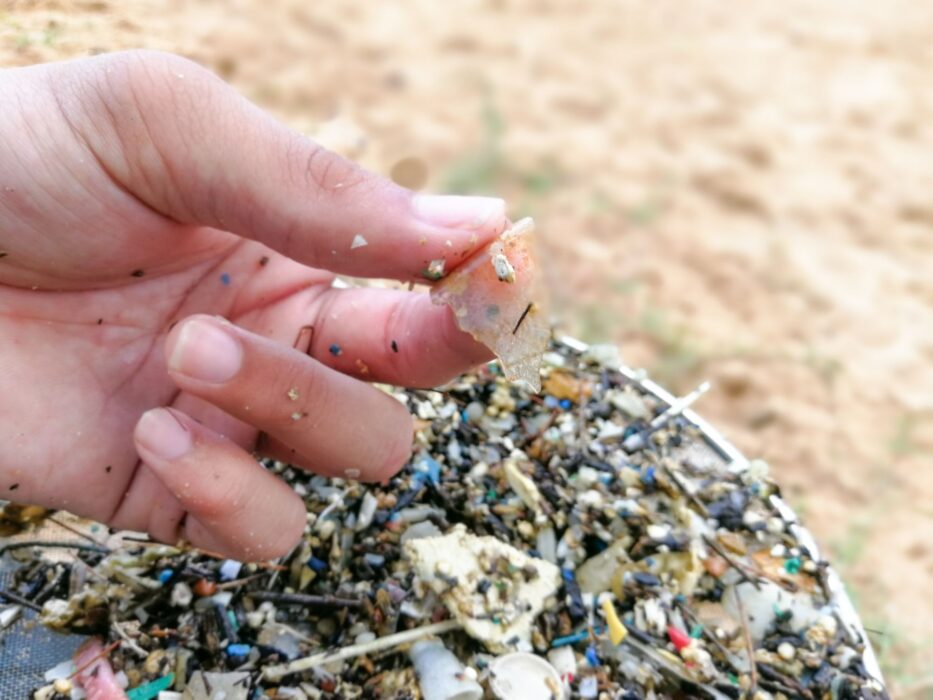 Les malaisiens et les Indonésiens ingèrent les plus grandes quantités de microplastiques