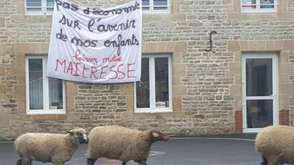 moutons ecole