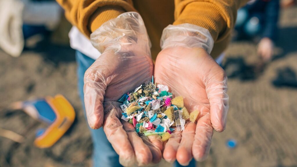 Quelle est la population qui consomme le plus de microplastiques au monde 