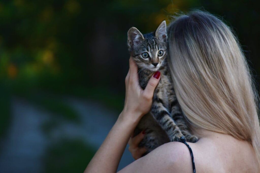 Un chat avec son maître 