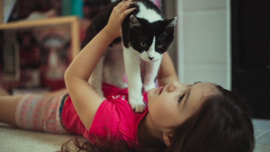 Pourquoi les chats miaulent plus souvent envers les humains qu'entre eux ? 