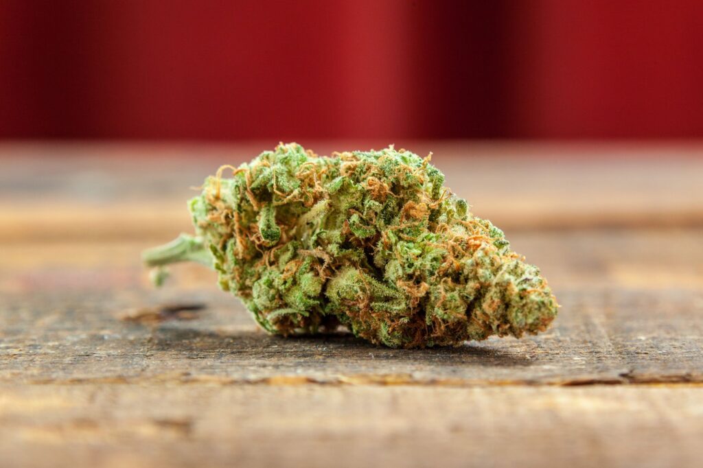 Cannabis