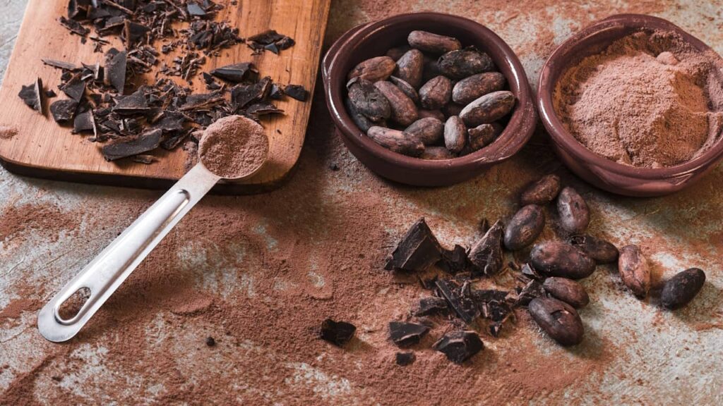 cacao différentes formes poudre fèves éclat