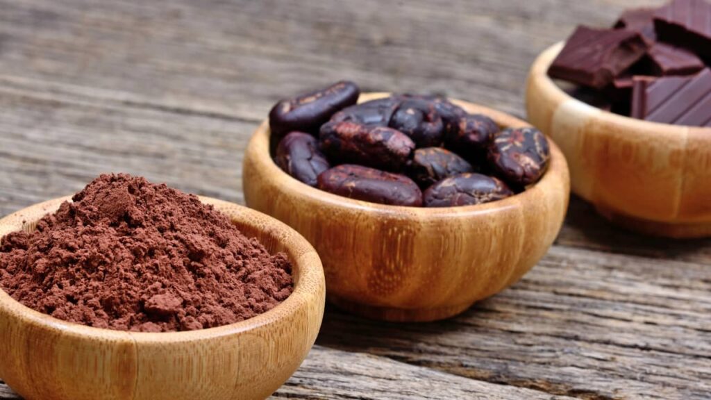 cacao poudre fèves carré chocolat