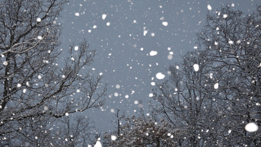 flocons de neige