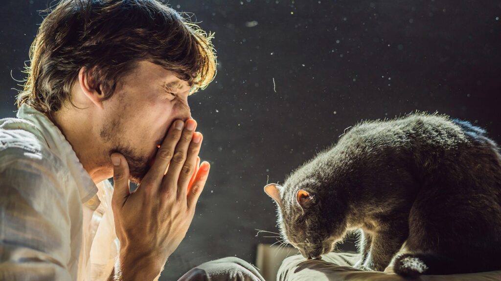 Comment se transmet la gale du chat à l'homme ?