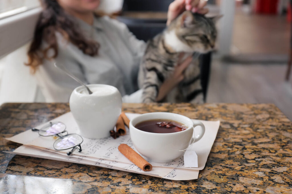 L’impact du ronronnement dans les espaces publics - Cafés pour chats et Hôpitaux