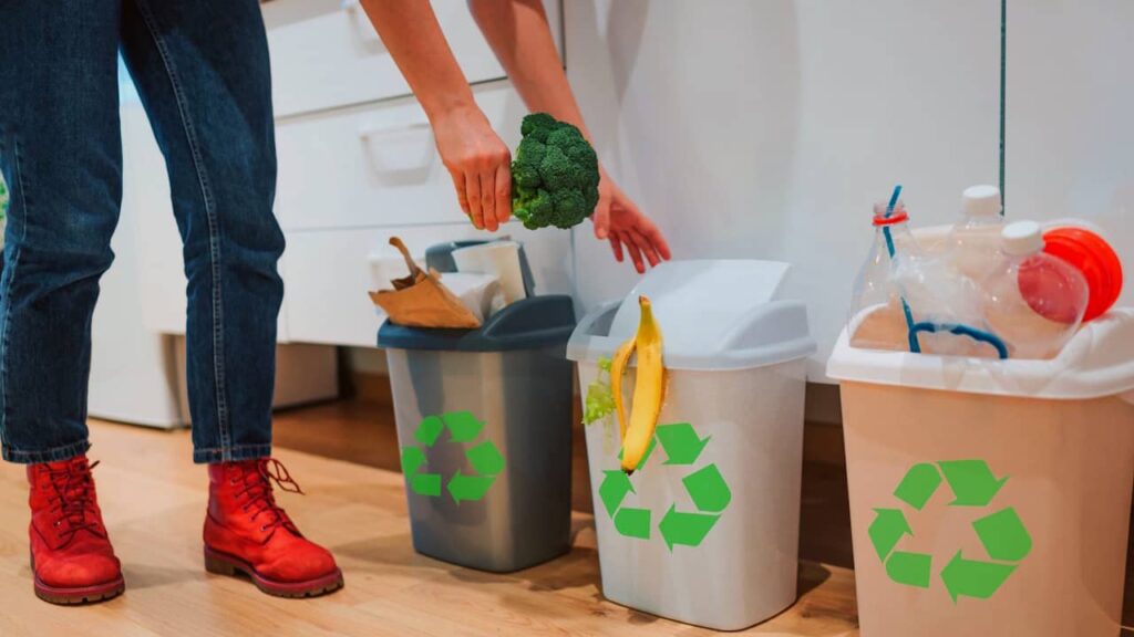 Comment les poubelles de tri sélectif impactent les entreprises ?