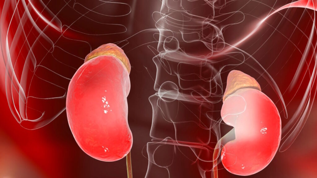 problèmes thyroïdiens
