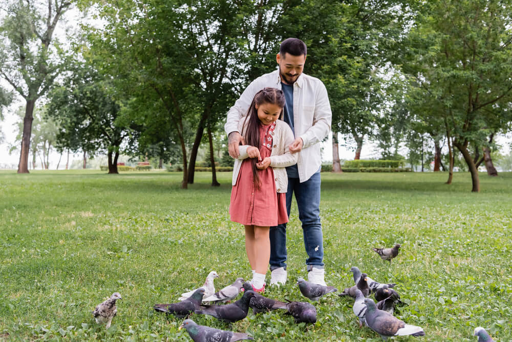 Nourrir les oiseaux avec des coquilles d’œufs usagées