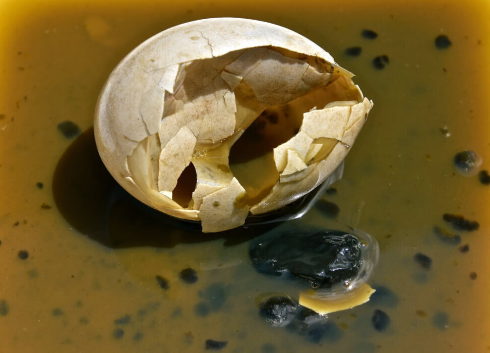 Un oeuf pourri