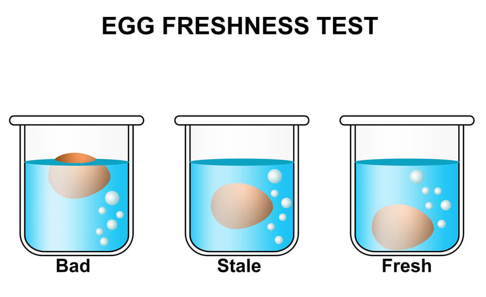 Tester un oeuf avec un verre d'eau