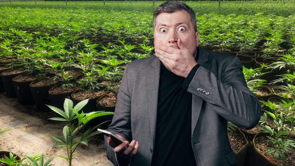appel cannabis police