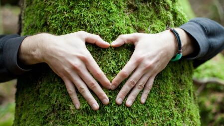 arbre main coeur
