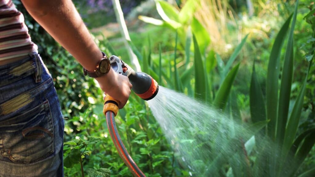 arrosage jardin