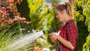 Arrosage jardin : fréquence idéale et meilleur moment de la journée