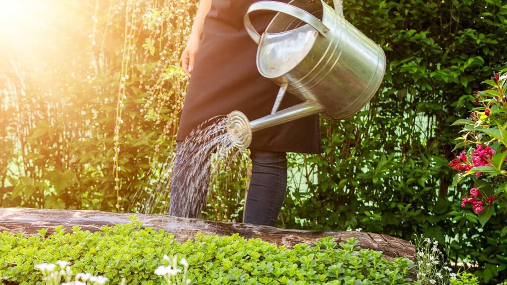 arroser son jardin