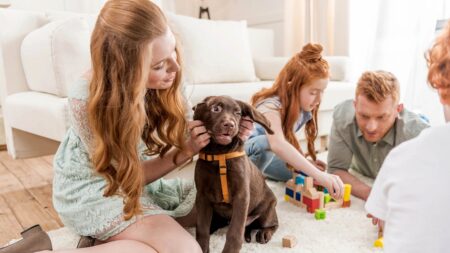 5 erreurs à éviter lors de l’éducation d’un chiot