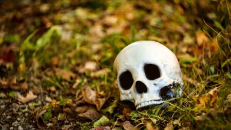 Est-ce que les os deviennent poussière après la mort ?