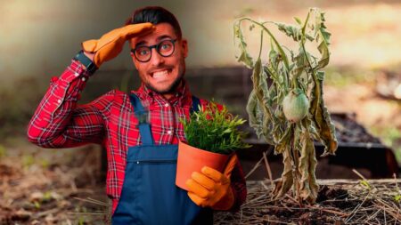 Jardin au printemps : 11 erreurs à éviter