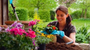 Jardin en mai : que faire absolument avant fin mai ?