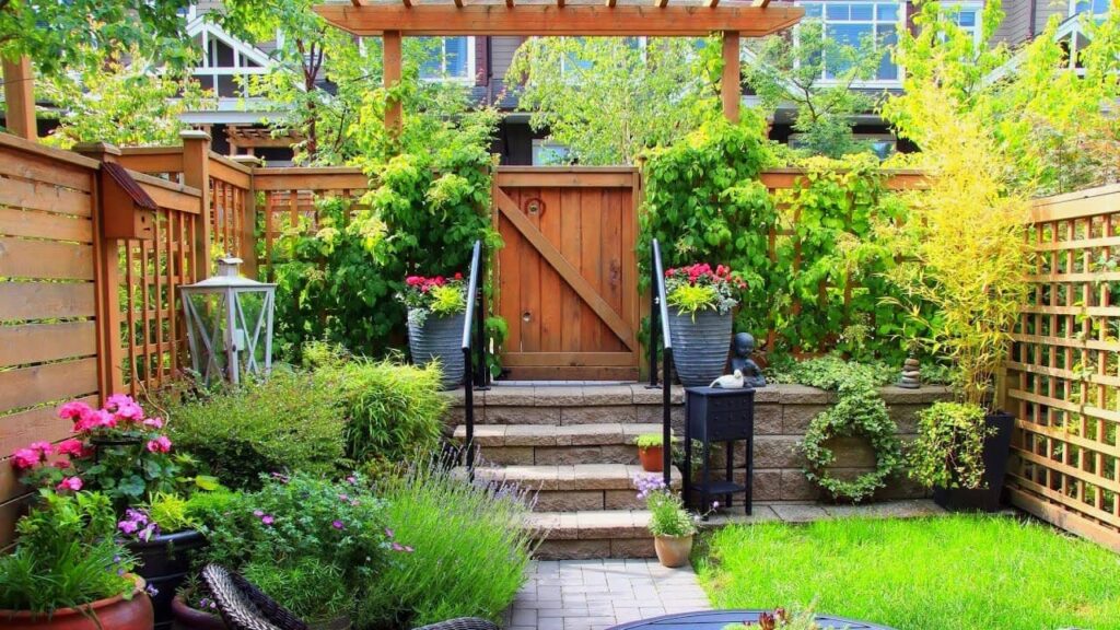 plantes petit jardin
