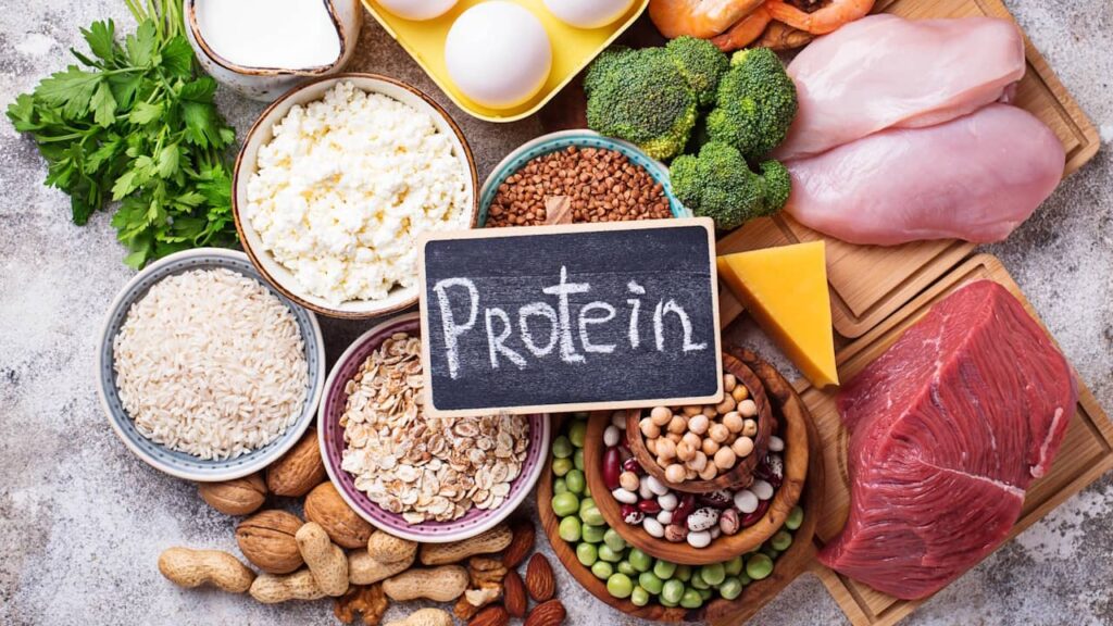 aliments alimentation proteine